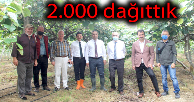 Kivi projesi devam ediyor