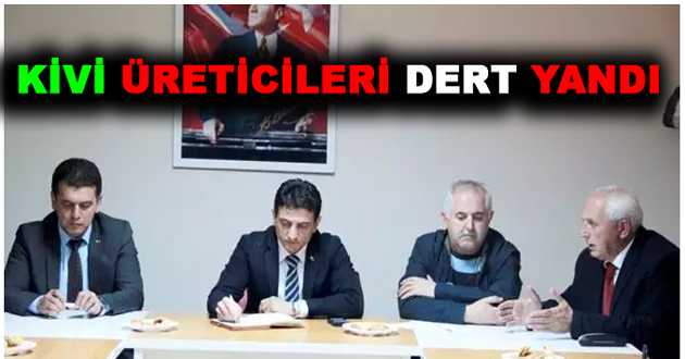 KİVİ ÜRETİCİLERİ DERT YANDI