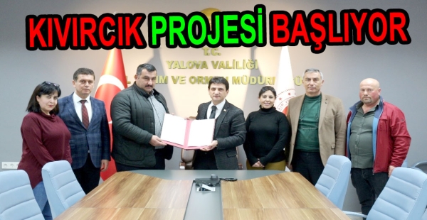 KIVIRCIK KOYUNU PROJESİ BAŞLIYOR