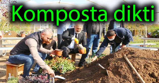 Komposta İlk fidanı Silpagar dikti
