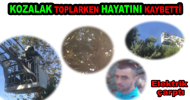 KOZALAK TOPLARKEN HAYATINI KAYBETTİ