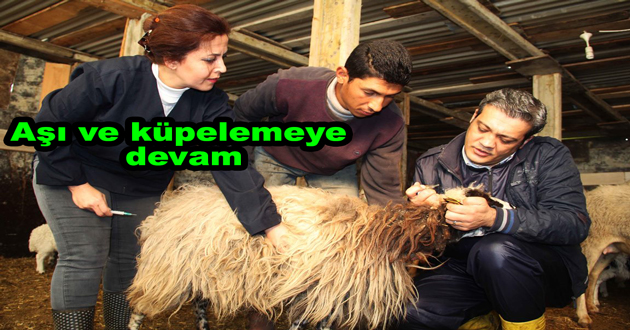 KÜPE VE AŞILAMA DEVAM EDİYOR