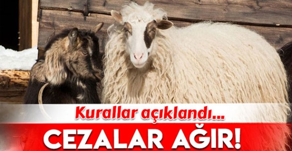 KURBAN KURALLARI AÇIKLANDI