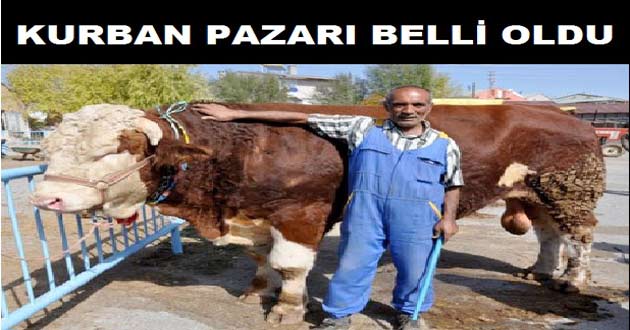 Kurban Pazarı Kurulum Çalışmaları Başladı
