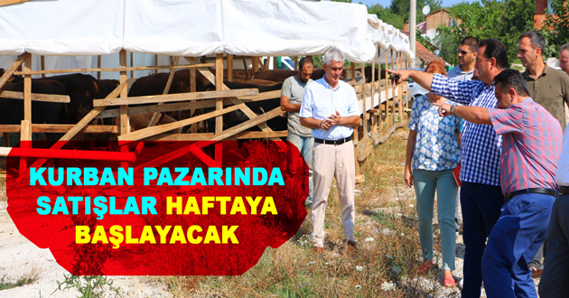 KURBAN PAZARINDA SATIŞLAR HAFTAYA BAŞLAYACAK