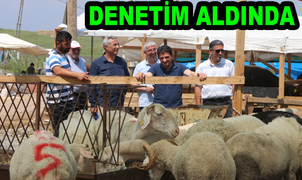 KURBANLIKLAR SIKI DENETLENİYOR