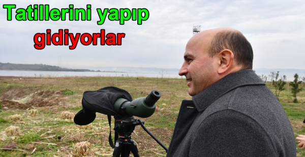 KUŞLAR LAGÜNDE TATİL YAPIP GİDİYOR
