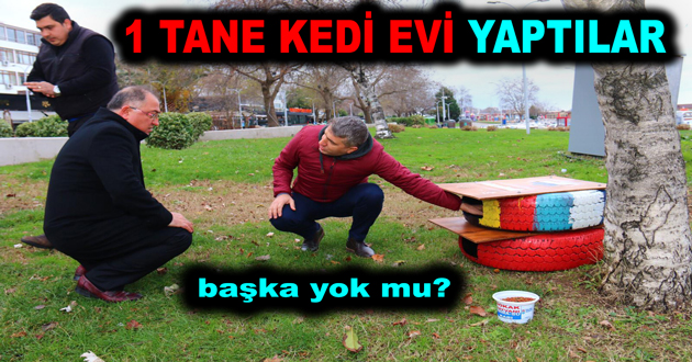 LASTİKTEN 1 TANE KEDİ EVİ YAPTILAR