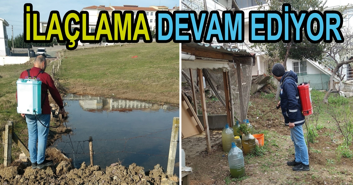 LAVRALAR İLAÇLANIYOR