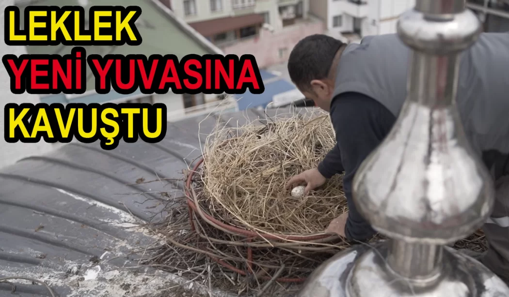 Leyleğimize yuvası bizden ismi sizden
