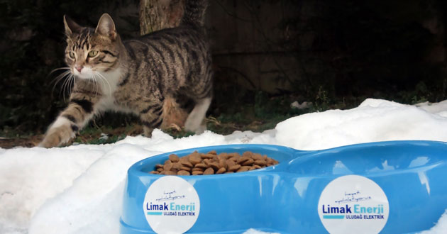 Limak Uludağ mama bıraktı