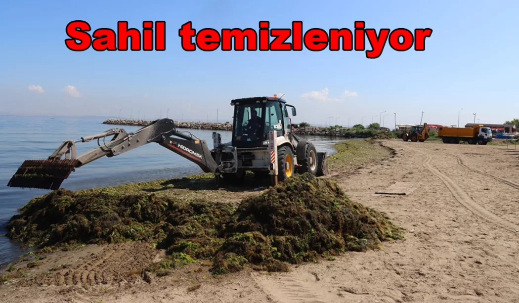 LODOS YOSUN GETİRDİ