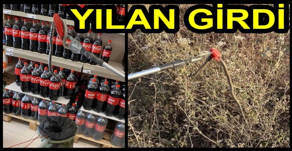 MARKETE YILAN YAKALADILAR