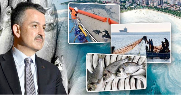 ​Marmara denizinden balık yiyebilirsiniz