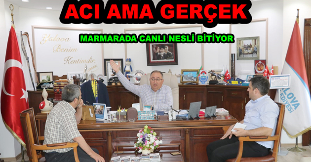 MARMARADA CANLI NESLİ BİTİYOR