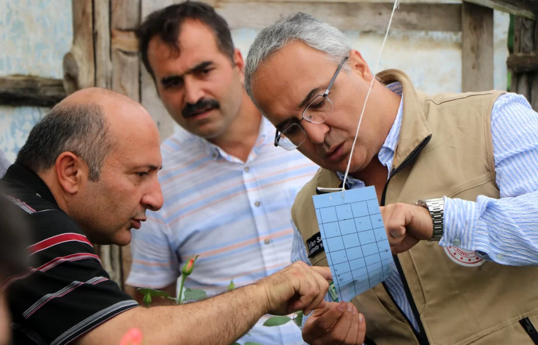 MAVİ TUZAKLAR GÜLLERİ KORUYACAK