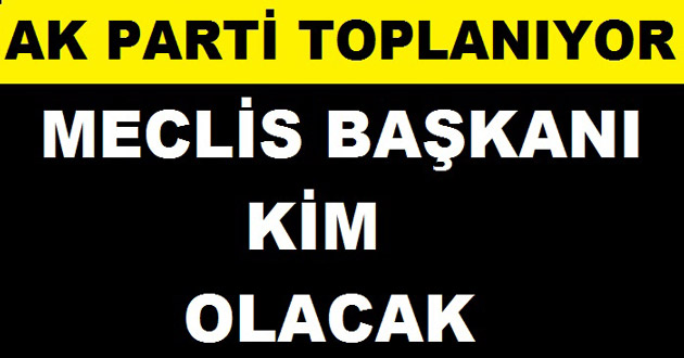 Meclis başkanı kim olacak ?