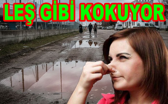 MEHMET GÜREL’E ÇAMUR VE KOKU İSYANI