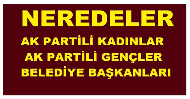 MEYDANLARI DOLDURAN AK PARTİLİLER NEREDE