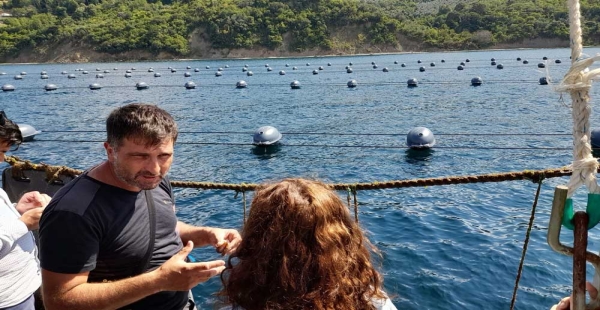 MİDYE SERTİFİKASYON ALIYOR