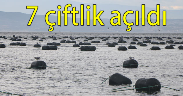 Midye tesislerinde 100 kişi çalışıyor