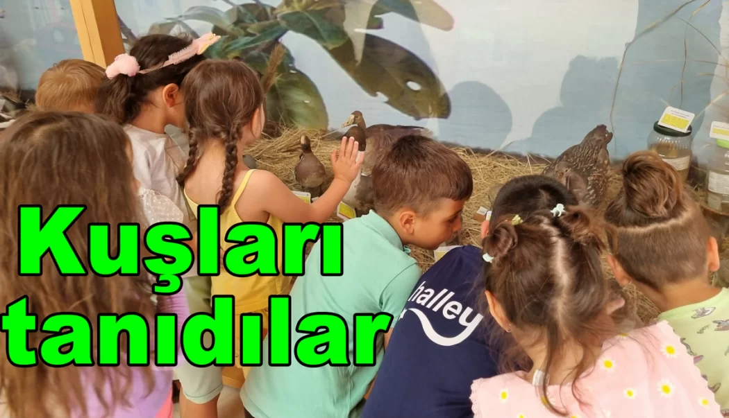 Minik öğrenciler, kuşlara hayran kaldı