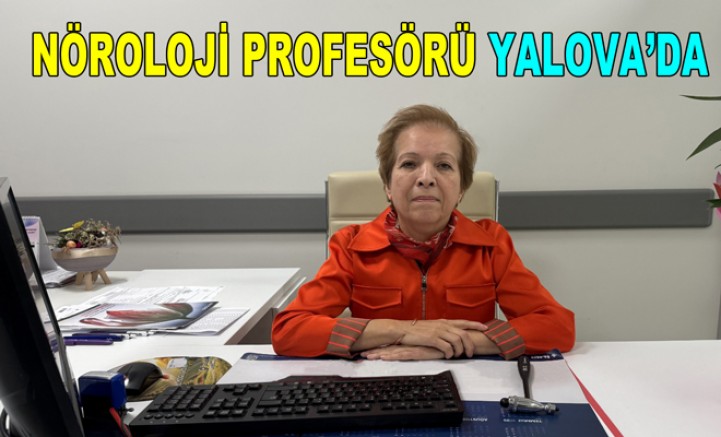 NÖROLOJİ PROFESÖRÜ BÖRÜ YALOVA'DA