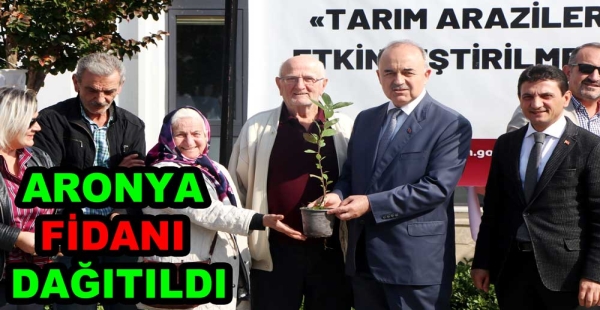 ONBİN ARONYA TOPRAĞA EKİLECEK