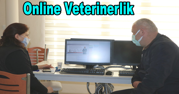Online Veterinerlik eğitimi aldılar