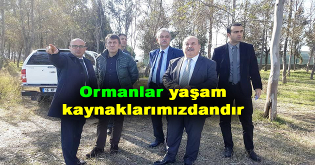 Oral: Ormanlar yaşam kaynaklarımızdandır