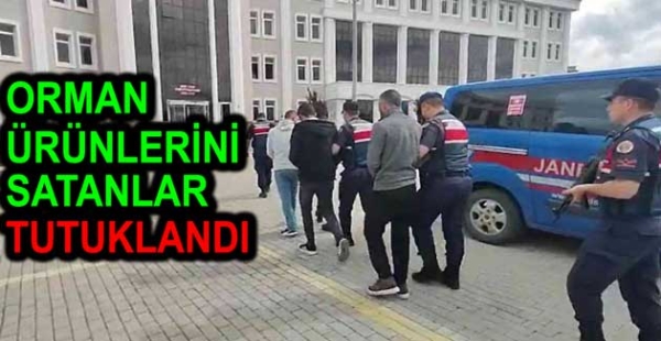 ORMAN ÜRÜNLERİNİ SATANLAR TUTUKLANDI
