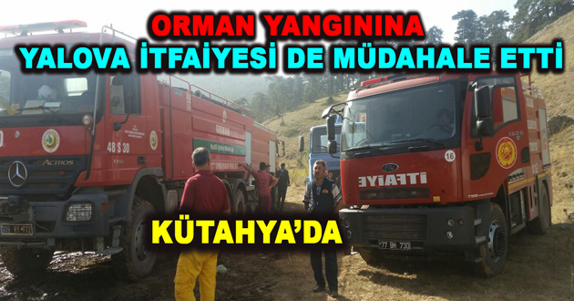 ORMAN YANGININA YALOVA İTFAİYESİ DE MÜDAHALE ETTİ