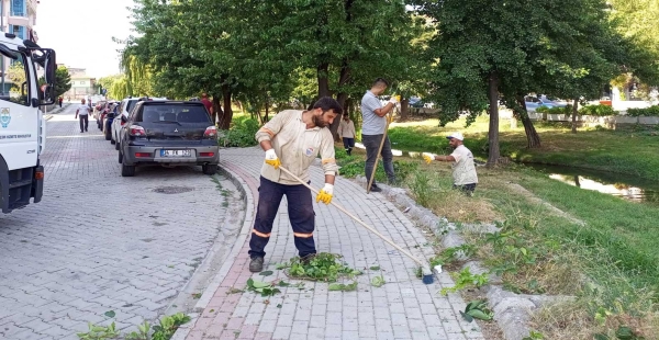 OTLAR TEMİZLENİYOR