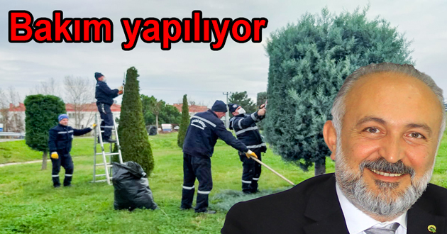 Park ve bahçelere bakım yapılıyor