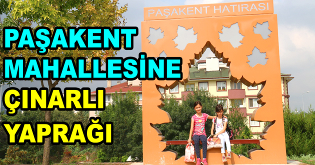 PAŞAKENT MAHALLESİNE ÇINARLI YAPRAĞI