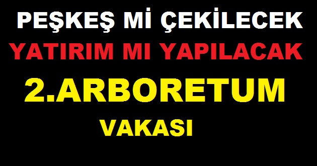 PEŞKEŞ Mİ ÇEKİLMEK YATIRIM MI YAPILMAK STENİYOR ?