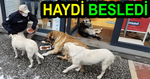 POLİS SOKAK HAYVANLARINI UNUTMADI