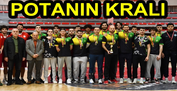 POTANIN KRALI ALTINOVA