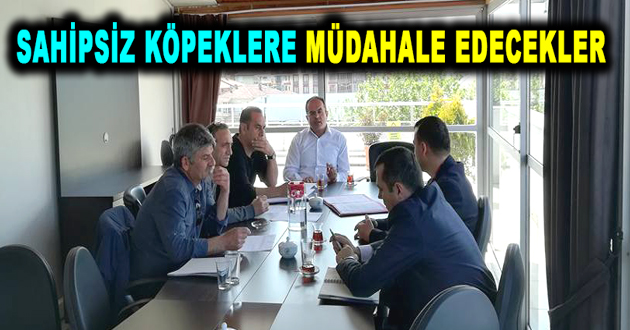 SAHİPSİZ KÖPEKLERE MÜDAHALE EDECEKLER