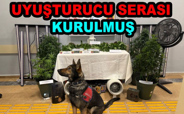 SAMANLI’DA EVİNDE UYUŞTURUCU SERASI KURMUŞ