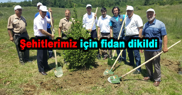 Şehitlerimiz için fidan dikildi