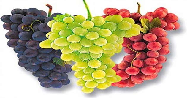 Şeker Oranı Düşük 