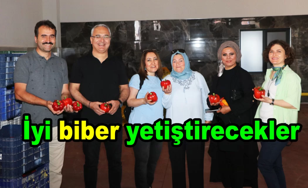 SERADA BİBER YETİŞTİRECEKLER