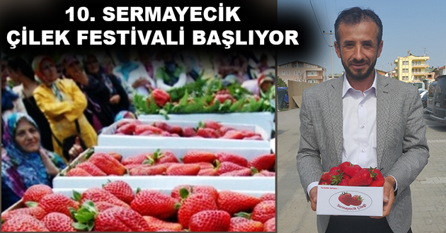 SERMAYECİK ÇİLEK FESTİVALİ BAŞLIYOR