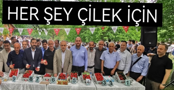 SERMAYECİK ÇİLEK FESTİVALİ GERÇEKLEŞTİ
