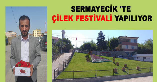 SERMAYECİK 'TE ÇİLEK FESTİVALİ YAPILIYOR