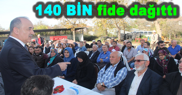 SERMAYECİKLİ ÇİFTÇİLERE 140 BİN ADET ÇİLEK FİDESİ DAĞITILDI
