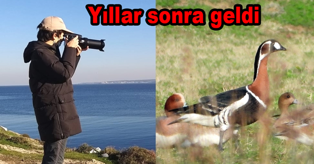 Sibirya kazı Altınova da