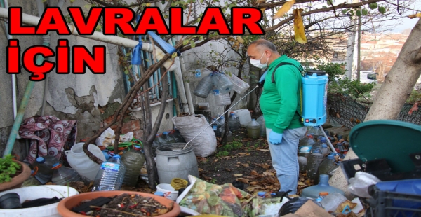SİNEKLERLE MÜCADELEYE DEVAM