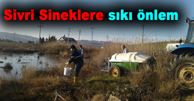 Sivri Sineklere sıkı önlem
